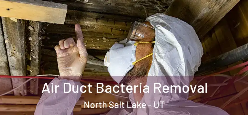  Air Duct Bacteria Removal North Salt Lake - UT