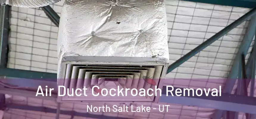  Air Duct Cockroach Removal North Salt Lake - UT