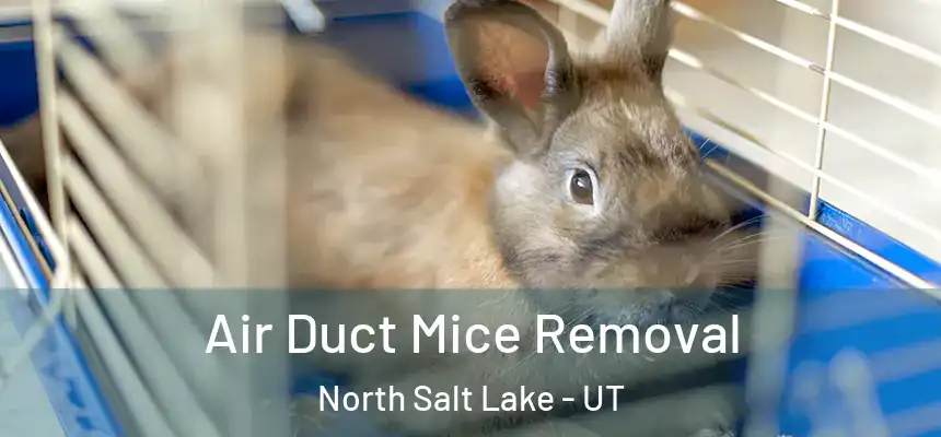  Air Duct Mice Removal North Salt Lake - UT