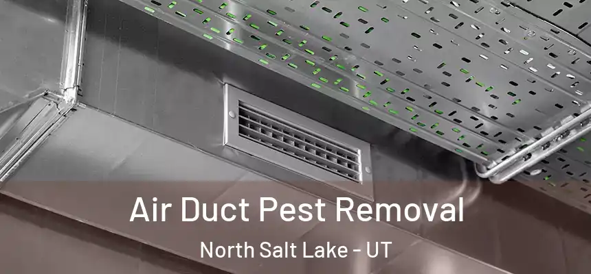  Air Duct Pest Removal North Salt Lake - UT