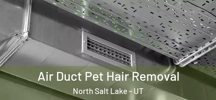  Air Duct Pet Hair Removal North Salt Lake - UT