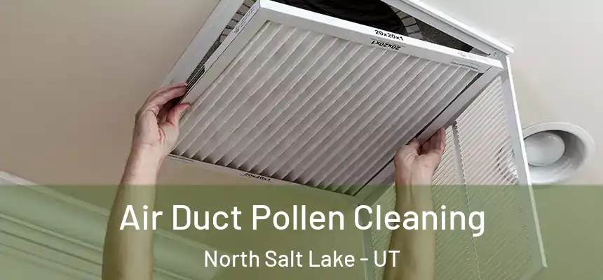  Air Duct Pollen Cleaning North Salt Lake - UT