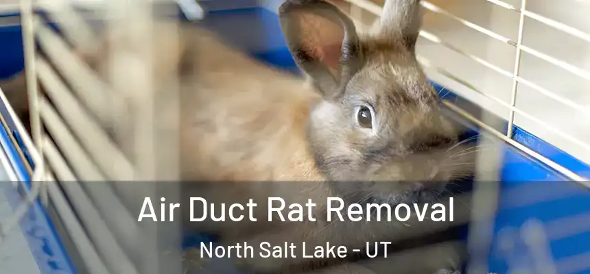  Air Duct Rat Removal North Salt Lake - UT