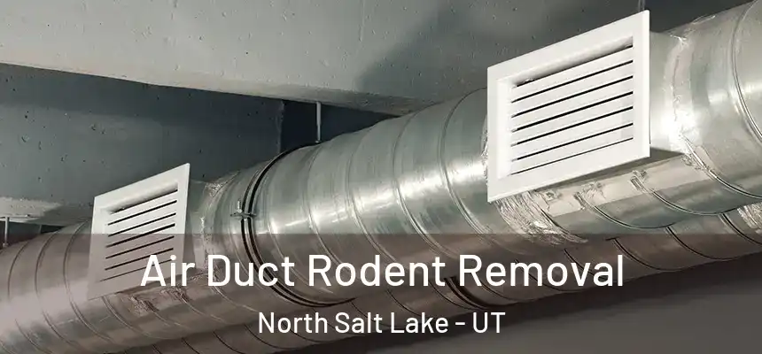  Air Duct Rodent Removal North Salt Lake - UT
