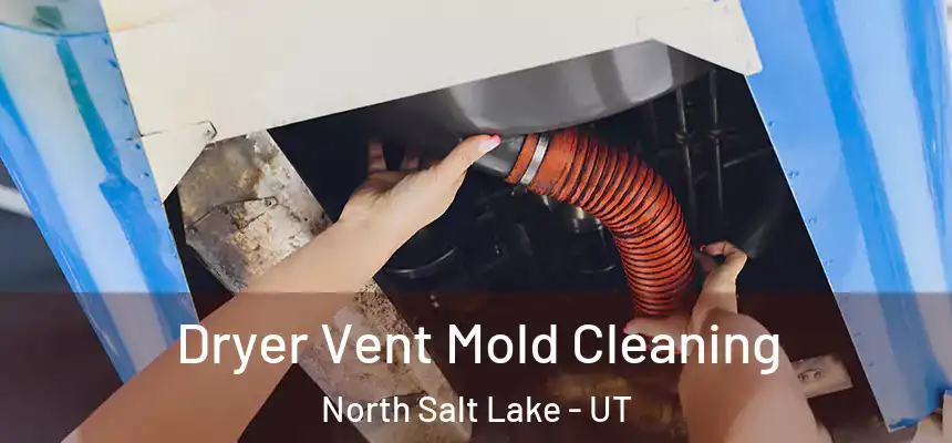  Dryer Vent Mold Cleaning North Salt Lake - UT
