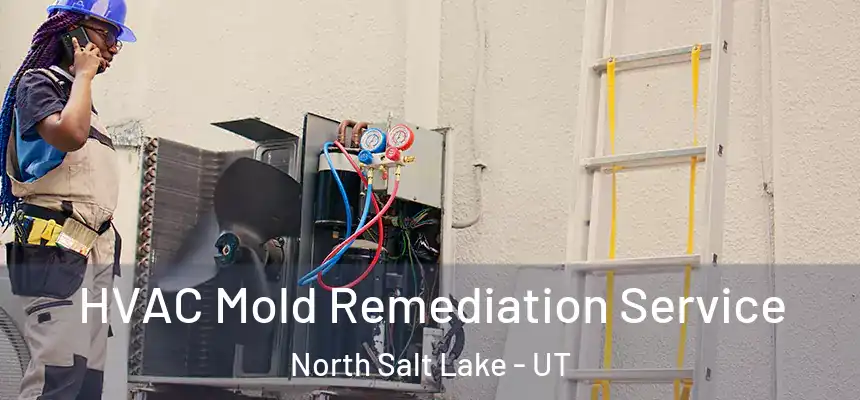  HVAC Mold Remediation Service North Salt Lake - UT