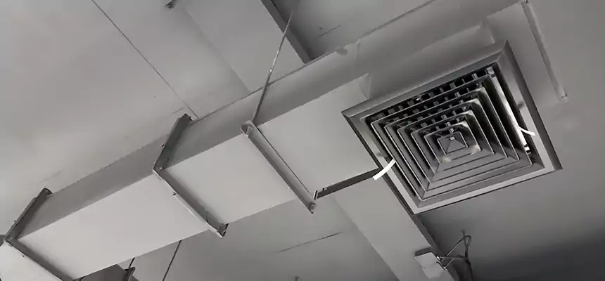 Our Rodent Droppings In Vents Services in North Salt Lake, UT