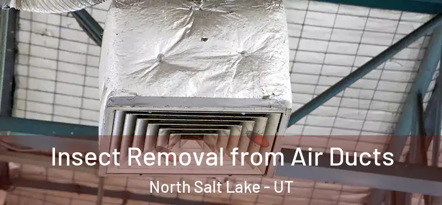  Insect Removal from Air Ducts North Salt Lake - UT
