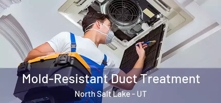 Mold-Resistant Duct Treatment North Salt Lake - UT