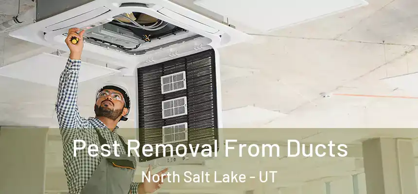 Pest Removal From Ducts North Salt Lake - UT