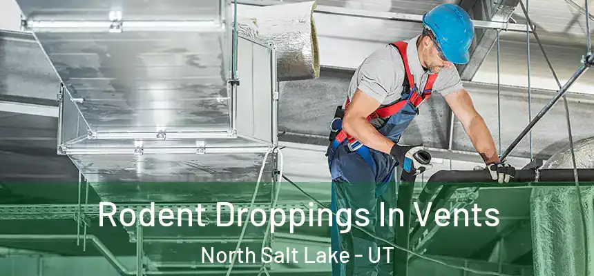  Rodent Droppings In Vents North Salt Lake - UT