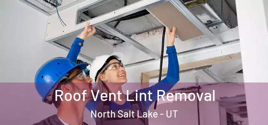  Roof Vent Lint Removal North Salt Lake - UT