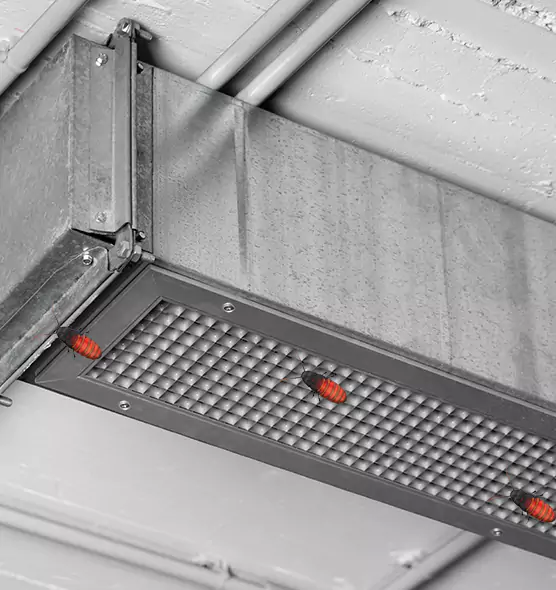 About Air Duct Cockroach Removal in North Salt Lake, UT
