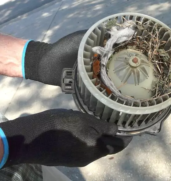 About Air Duct Rat Removal in North Salt Lake, UT