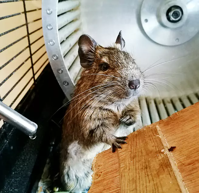 Why Homeowners & Businesses Trust Us North Salt Lake, UT